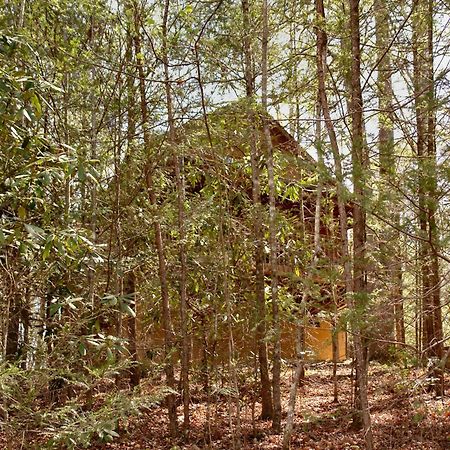 Vila Mountain Hideaway #338 Gatlinburg Exteriér fotografie
