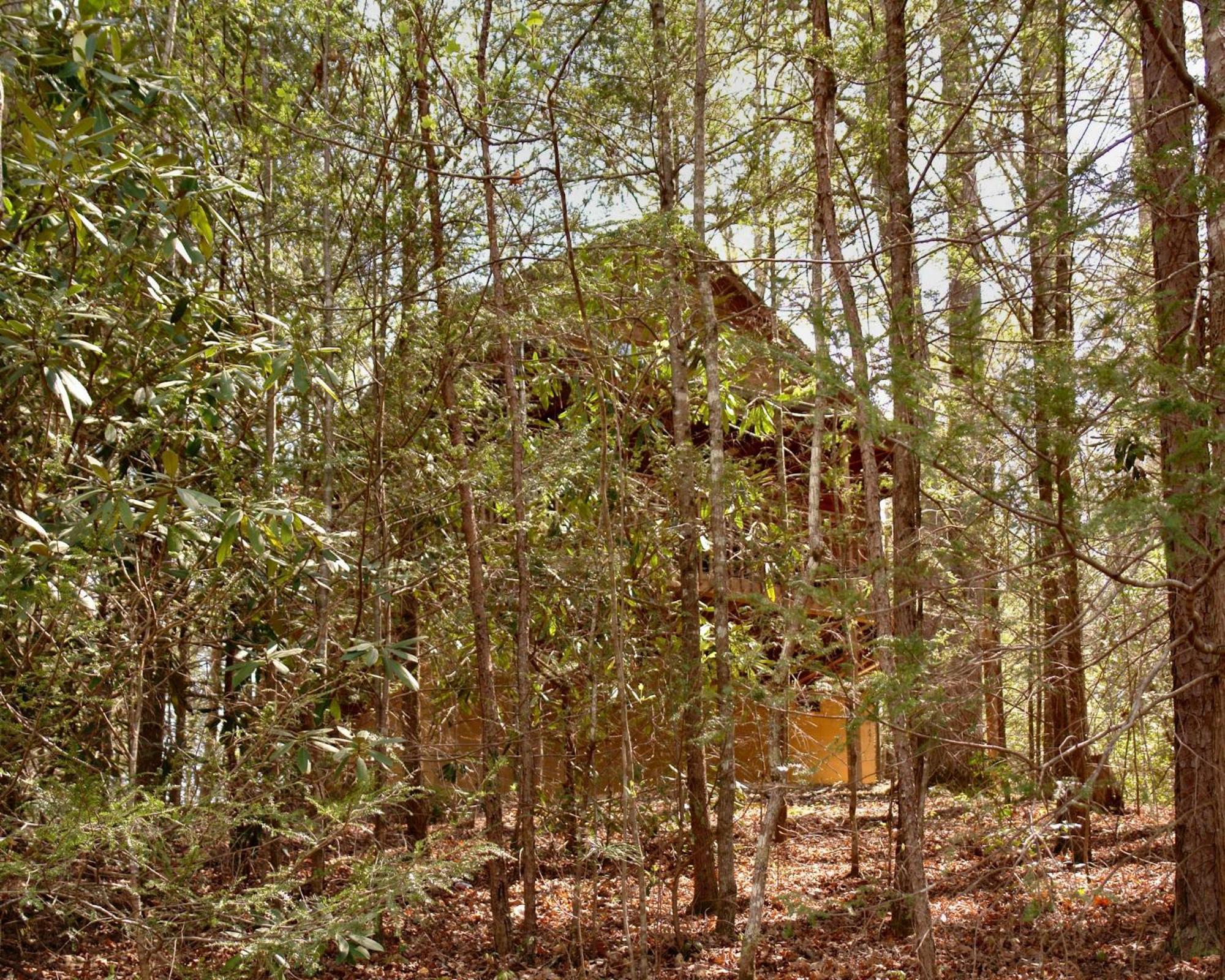 Vila Mountain Hideaway #338 Gatlinburg Exteriér fotografie